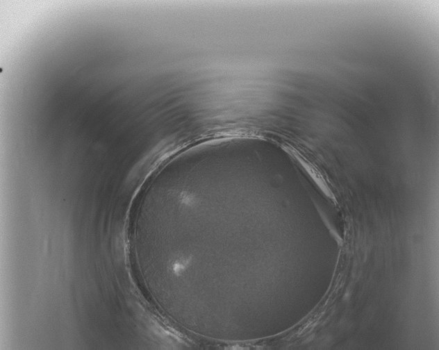 X0000064740290200602131323