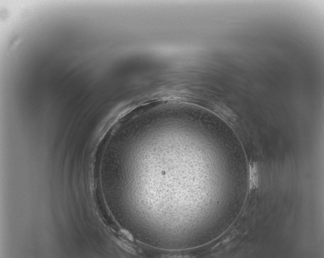 X0000064740291200602131323