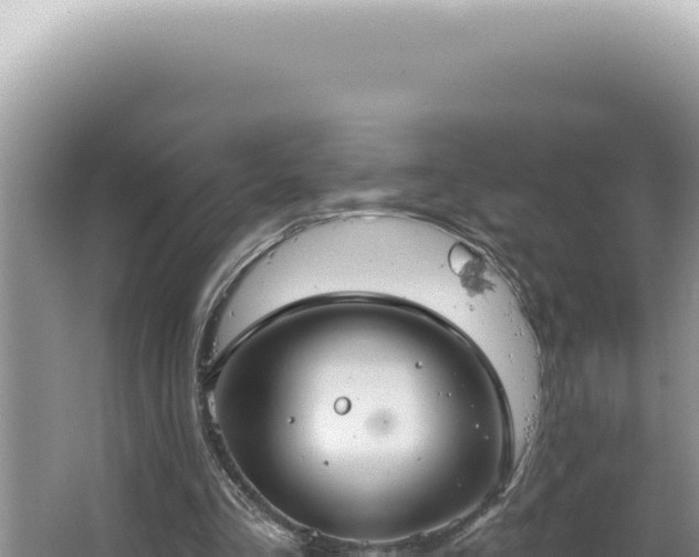 X0000064740293200602131323