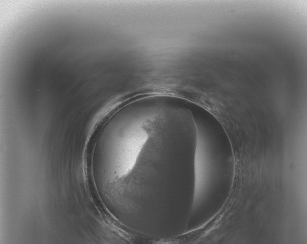 X0000064740294200602131323