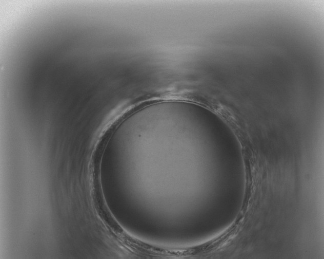 X0000064740295200602131323