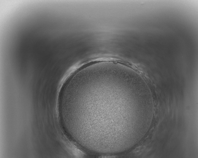 X0000064740296200602131323