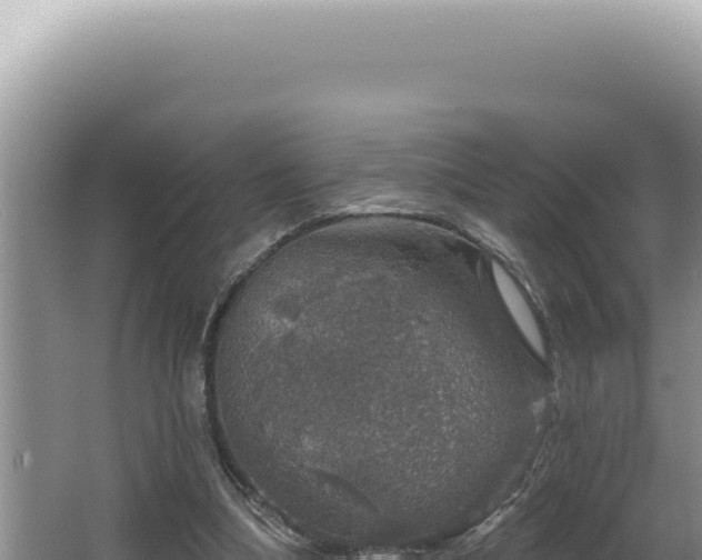 X0000064740298200602131323