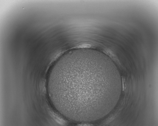 X0000064740300200602131323