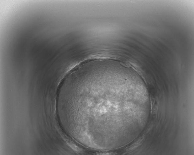 X0000064740301200602131323