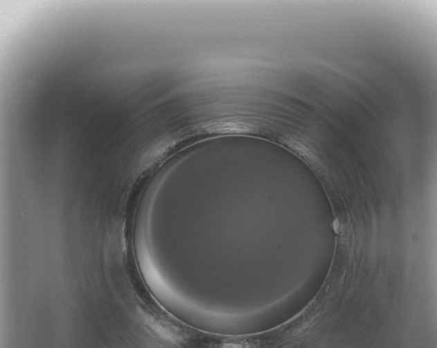 X0000064740302200602131323