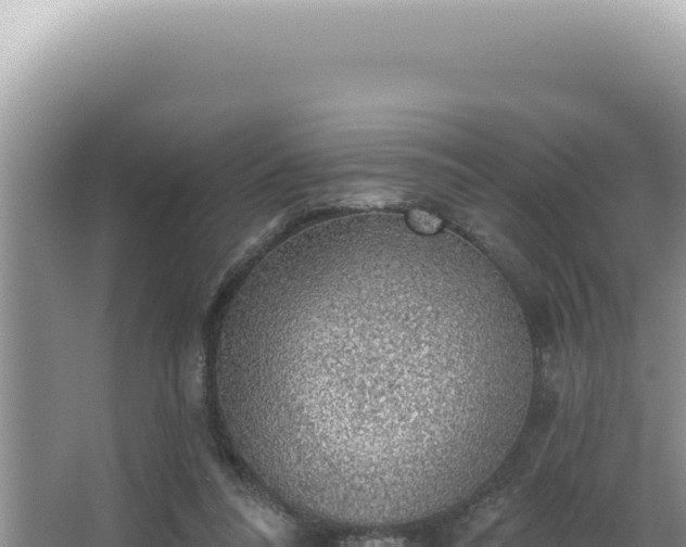 X0000064740304200602131323