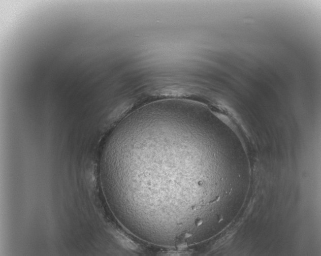 X0000064740305200602131323