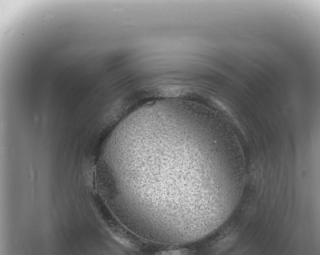 X0000064740307200602131323