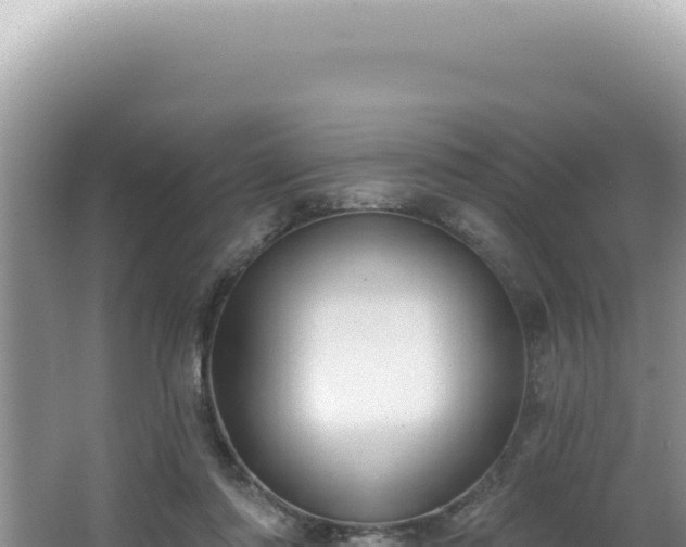 X0000064740310200602131323