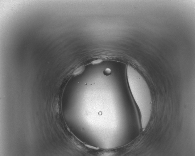 X0000064740313200602131323