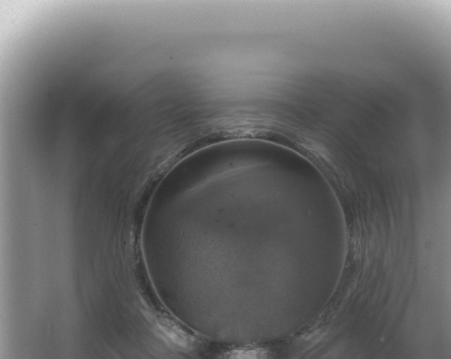 X0000064740314200602131323