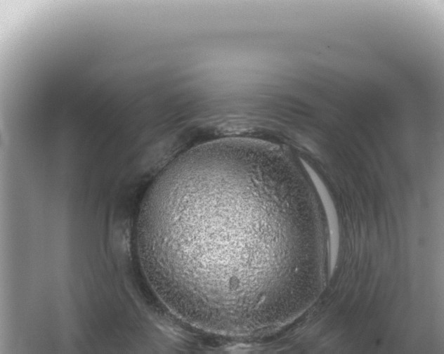 X0000064740315200602131323