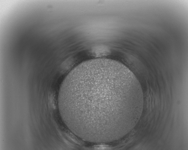 X0000064740316200602131323