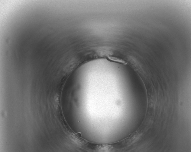 X0000064740321200602131323