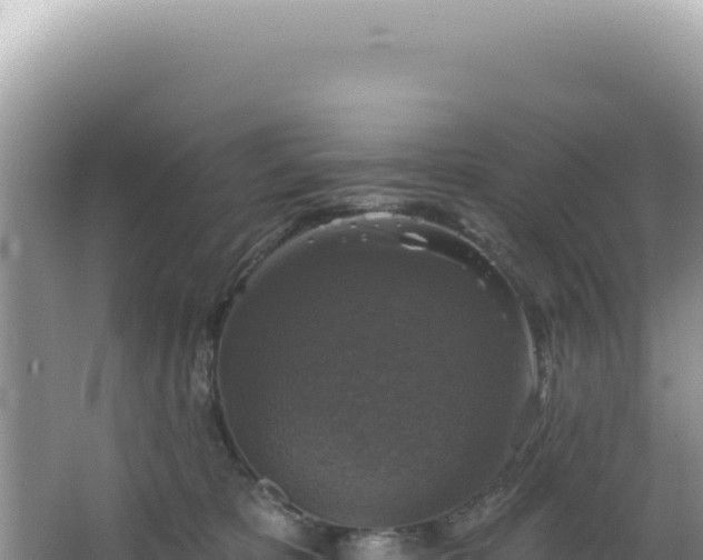 X0000064740325200602131323