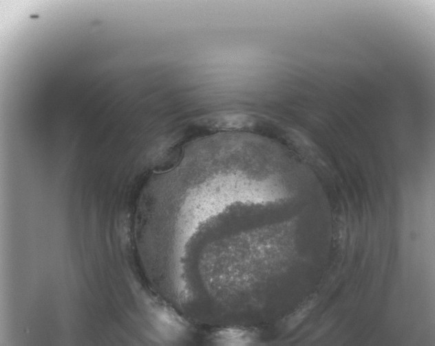 X0000064740326200602131323