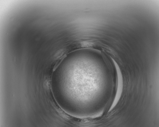 X0000064740329200602131323