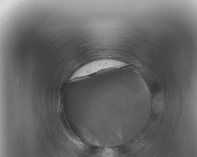 X0000064740330200602131322