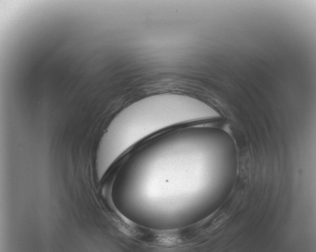 X0000064740333200602131322