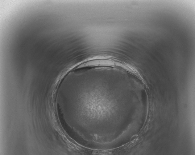 X0000064740337200602131322