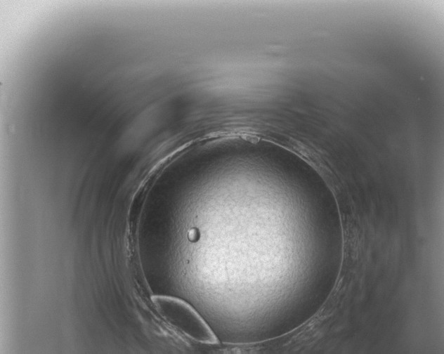 X0000064740338200602131322