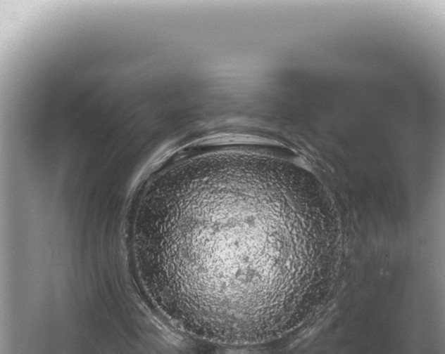 X0000064740341200602131322