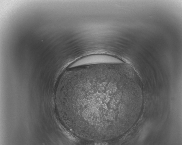 X0000064740345200602131322