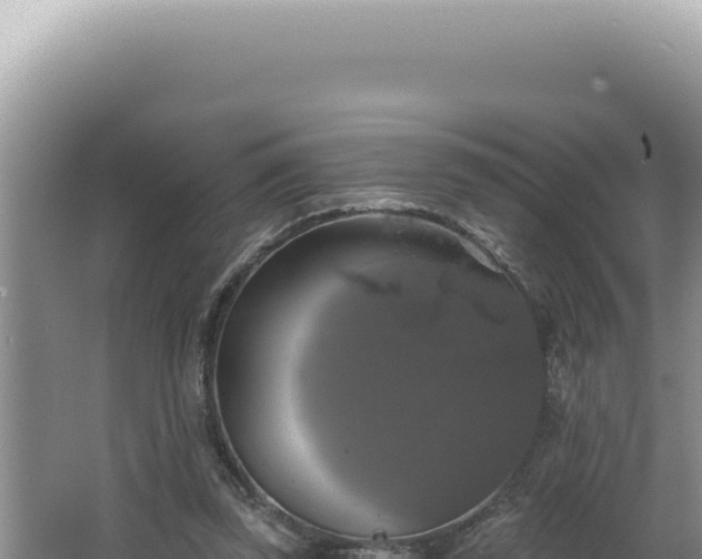 X0000064740347200602131322