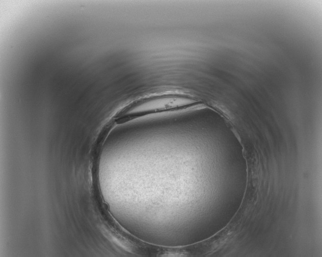 X0000064740350200602131322