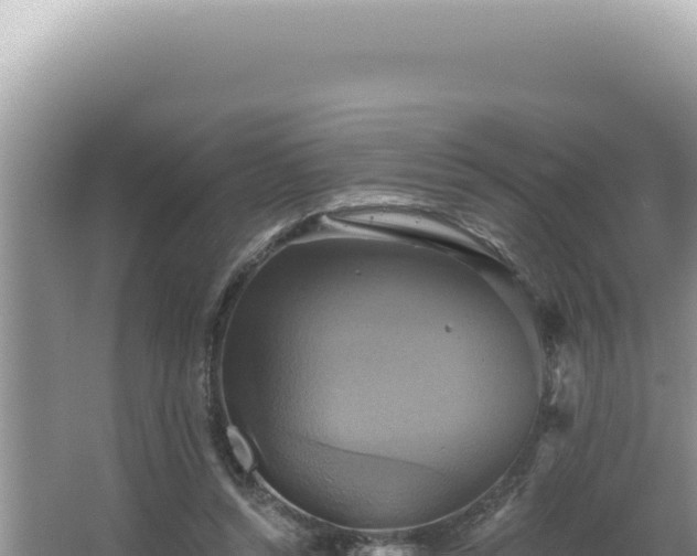 X0000064740352200602131322