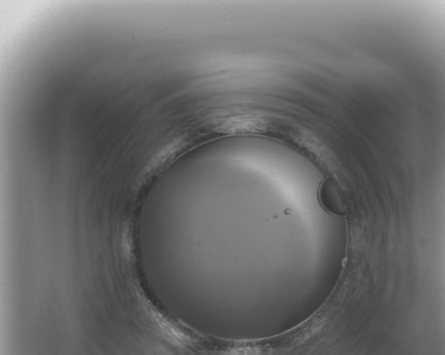 X0000064740353200602131322