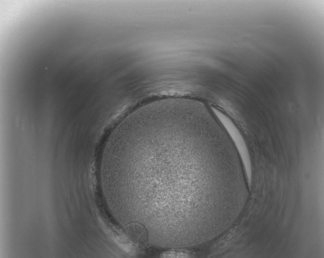 X0000064740354200602131322