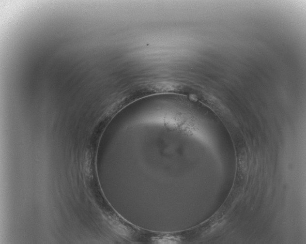 X0000064740359200602131322