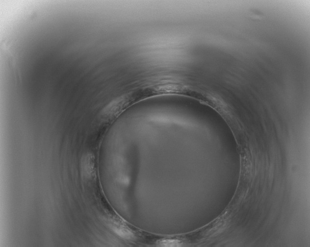 X0000064740361200602131322