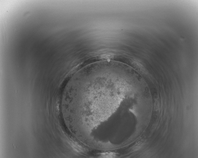 X0000064740363200602131322