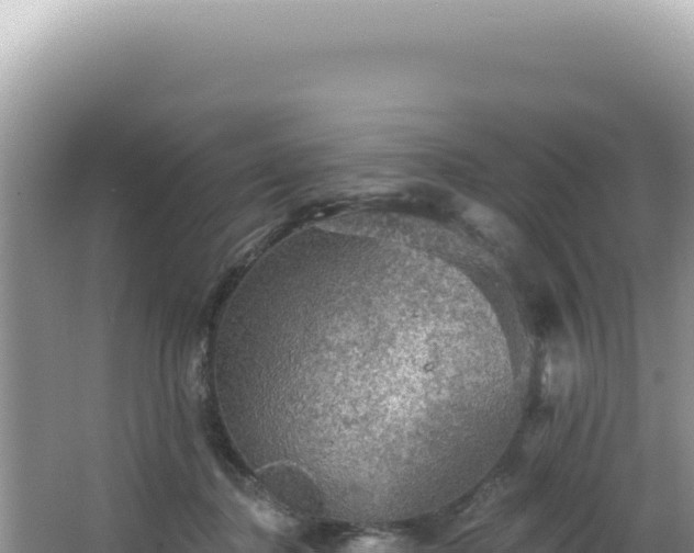 X0000064740364200602131322