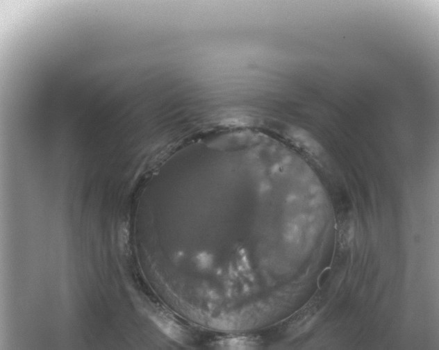 X0000064740365200602131322