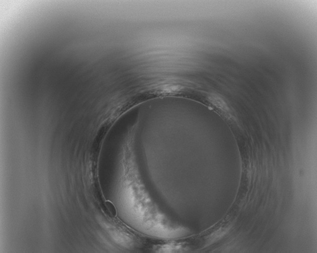 X0000064740366200602131322