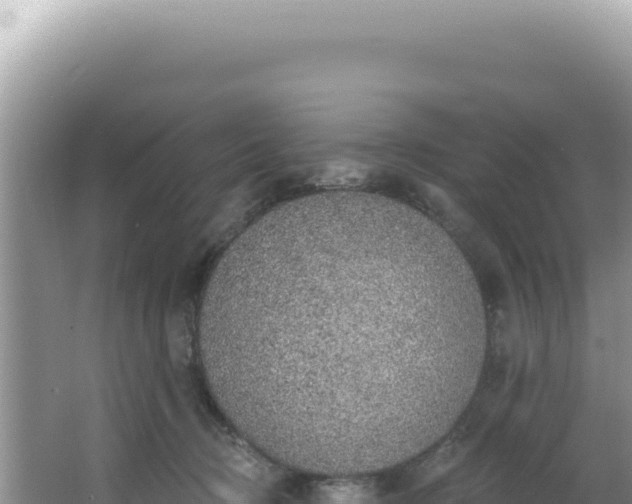 X0000064740370200602131322