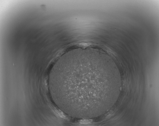 X0000064740373200602131322