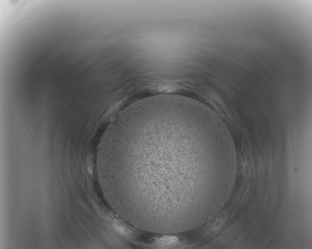 X0000064740374200602131322