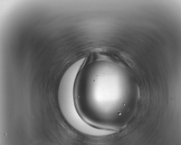 X0000064740375200602131322