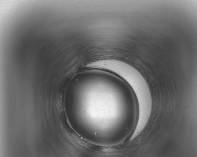 X0000064740376200602131322