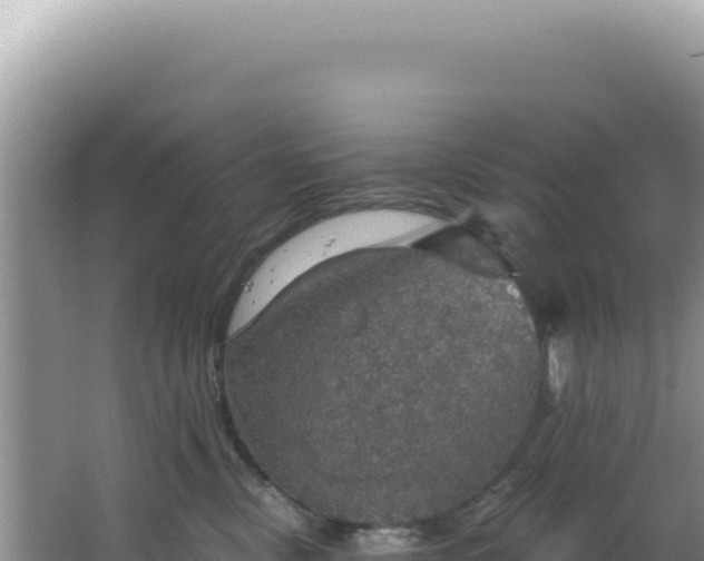 X0000064740378200602131322