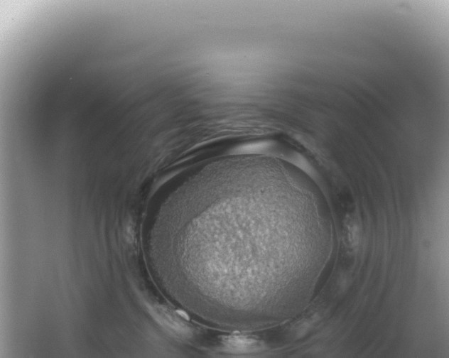 X0000064740380200602131322