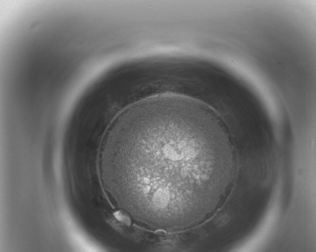 X0000064740382200602131322