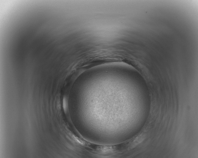 X0000064740384200602131322