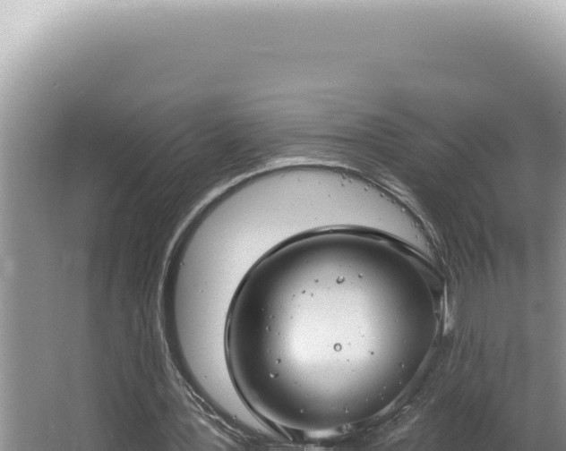 X0000064740387200602131322