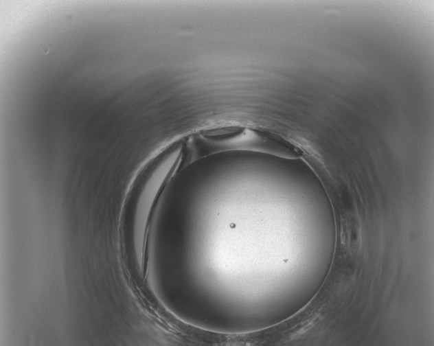 X0000064740388200602131322